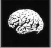 bones145's Avatar